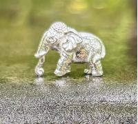 2 pezzi statua idolo Hathi elefante religioso indù argento 999 argento 5 g ri...