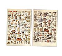 2 Pezzi Vintage Fungo Poster a Muro Decori a Fungo Stampa E Poster Botanico Animale Botanico Stampa Botanica E Poster Botanico