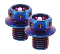 2 Pezzi Viti Tappi per Specchietti 10mm in Acciaio Inox Blu | Fori del Retrovisore, Montaggio 10mm, Riduce Allentamenti da Vibrazioni, per Veicoli a Due Ruote e Modifiche