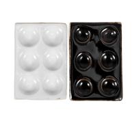 2 piastre per esperimenti scientifici, piastre per reazioni chimiche, piastre