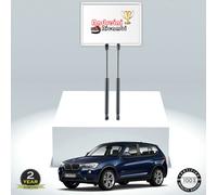 2 PISTONCINI BAGAGLIAIO xBMW X1 E84 sDrive 18 D 105KW 143CV DAL 2014 | 502131