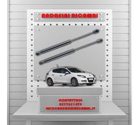 2 PISTONCINI BAGAGLIAIO xRENAULT MEGANE III 2.0 dCi 120KW 2014 -> | MG36308