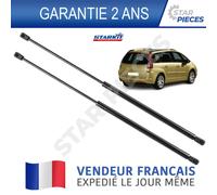 2 Pistoni Cofano Bagagliaio Citroen C4 Grand Picasso 06-13 Nero 8731P0
