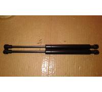 2 Pistoni Pistoncini Baule Cofano Posteriore per Fiat Croma (154) dal 1985>1996