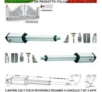2 PISTONI REVERSIBILI 220 V CORSA 600 MM CANCELLO ELETTRICO 2 ANTE DA 3,5 METRI