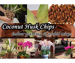 2: Planting Coperta Buccia di Cocco Chips Coir Grande Addito Orchid Mix Seeds ONLY