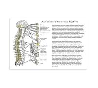 2 poster su tela "Chiropractic at an Autonomic Nervous System Health Clinic", decorazione per camera da letto, ufficio, camera da letto, regalo, 40 x 60 cm