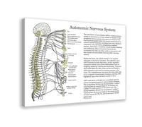 2 poster su tela con chiropractic at an autonomic nervous system health clinic, decorazione artistica da parete per soggiorno e camera da letto, 60 x 90 cm