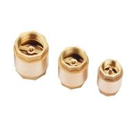 2 Pz/5 Pz 1/2 ''3/4" 1" Valvola di ritegno in ottone con filettatura femmina in linea a molla DN15/DN20/DN25 unidirezionale di non ritorno for acqua(1 inch,2Pcs)