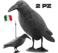 2 Pz Corvo Spaventa Scaccia Piccioni Uccelli Spaventapasseri Dissuasore Corvi IT