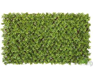 2 PZ ROTOLO SIEPE SEMPREVERDE ARTIFICIALE CON SUPPORTO PVC 1X2 MT CM 100X200