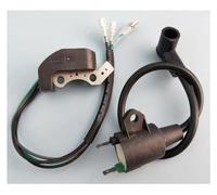 2 Pz/set Per TIGRE Generatore 450W 650W 800W 950W 1000W 2 Tempi ET950 ET650 IE45F TG950 Con Magnete Bobina Accensione Accenditore Bobina Accensione Motore Bobina Accensione
