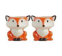 2 Pz Succulenta Pianta in Vaso Porta Piante Da Tavolo Figurina Animale Della Foresta Arredamento Fioriera Volpe Indoor Succulento Mini Pentola Succoso Ceramica Ufficio Zibetto