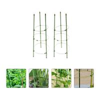 2 set Gabbie di supporto delle piante Garden Stakes Tomato Vine Supports Trellis