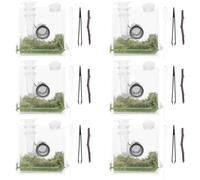 2 Sets Ragno Saltatore Scatola Di Allevamento Per Contenitore Insetti Recinto