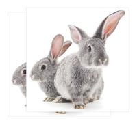 2 Sheets Adesivo Parete Della Scuola Materna Adesivi Murali Per Camera Da Letto