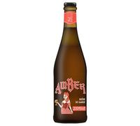 2 Sorelle Amber Ale, Birra Doppio Malto Ambrata, Prodotta con Metodo Artigianale, 750ml - 750 ml