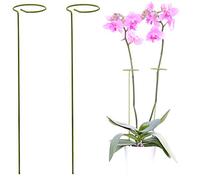 2 Sostegni Per Piante | Supporti Per Piante Alte e Fiori | Paletti Giardino | Aiuta Le Tue Piante a Crescere | Sostegni Piante Pomodori | Paletti Per Orchidee, Amarilli, Peonie e Piante Peperoncini