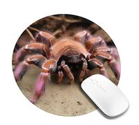 2 tappetini per mouse rotondi da 20,3 cm, grande tarantola rosa messicana, con base in gomma antiscivolo, tappetini per mouse personalizzati per mouse wireless, laptop, accessori da scrivania da