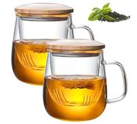 2 teiera in vetro da 480 ml, con coperchio e colino, vetro borosilicato, teiera in vetro resistente al calore, teiera in vetro, ideale per la preparazione di tè sfusi