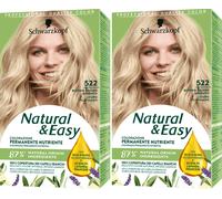 2 TESTANERA NATURAL & EASY BIONDO CHIARO ARGENTO 522 COLORE PERMANENTE CAPELLI