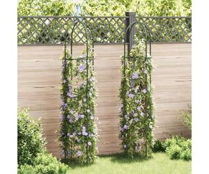 2 torri da giardino in ferro per rose e piante rampicanti, resistente alle intemperie come arco per rose per giardino, terrazza o veranda, struttura stabile