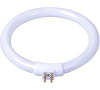 2 tubi rotondi per lampada, 11 W T4 LED a luce bianca tubo circolare con 4 pin, 4,8 pollici LED lampade da soffitto lampadine di ricambio lampadine fluorescenti a incandescenza tubo circolare