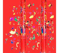 2 TUBI TUBO SPARACORIANDOLI COLORATI TUBO CANNONE 60 CM LAUREA SPARA CORIANDOLI