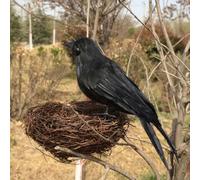 2 uccelli neri per Halloween, per feste spettrali e display all'aperto, decorazioni realistiche per temi horror