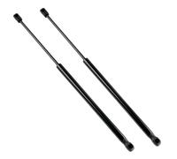 2 V?RIN Di Coffre Per Suzuki Swift 5 (2017-2023) - 8186052R00 8185052R00