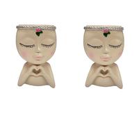 2 Vasi Facciali Decorativi Carini Come Mostrato, per Piante Succulente e Fi1611