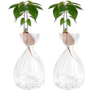 2 vasi per semi di avocado, vasi per fiori di avocado, per coltivare piante, kit per la coltivazione di alberi di avocado, vasi idroponici in vetro, per gli amanti del giardinaggio (trasparente)