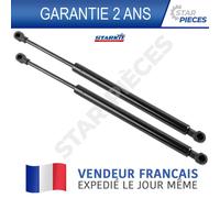 2 VERIN OUVERTURA COFANO POSTERIORE SINISTRO DESTRO BMW E90 E92 | 51244394052