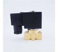 2 vie Pneumatico Ottone Acqua Elettrovalvola A Pressione Zero Inizio G1/4 pollici 220 V 110 V Orifizio 4mm/5mm/6mm N/C Valvola Utile(Dc24v,5mm)