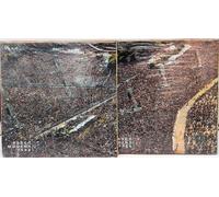 [ 2 VINILI LP] Vasco Rossi "Modena Park" LP N. 1 / N. 2 - Editoriale