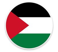 2 x 10 cm bandiera Palestina adesivo in vinile per computer portatile viaggio bagaglio auto bicicletta # 9162