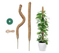 2 x 60 cm Palo di Muschio - Sostegno Supporto per Piante in Fibra di Cocco - Bastone per Piante Rampicanti con Corda di Iuta e Chiusura a Strappo - Adatto alla Crescita di Monstera e Altre Rampicanti