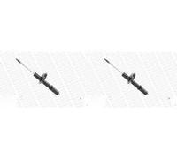 2 x Ammortizzatore MONROE per CITROËN, FIAT, PEUGEOT BOXER, DUCATO, JUMPER I