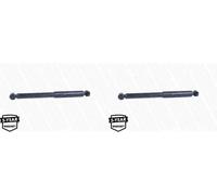 2 x Ammortizzatore MONROE per FIAT, OPEL COMBO, COMBO Furgon/minivan (X12)