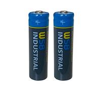 2 x batterie ricaricabili SOLAR Mignon AA WSB Industrial ricaricabili 3,2 V 1,92 Wh LiFePo4 ad alte prestazioni, particolarmente adatte per lampade solari