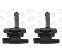 2 x Bobina di accensione BorgWarner (BERU) per FSO, LAND ROVER, MG, ROVER 200