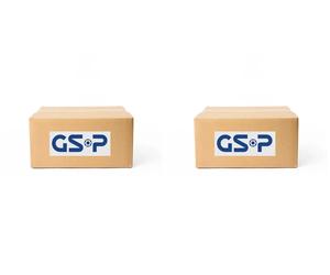 2 x Boccola cilindro GSP per FIAT, OPEL COMBO, COMBO Furgon/minivan