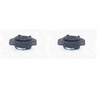 2 x Boccola cilindro MONROE per NISSAN, RENAULT CLIO III, CLIO III