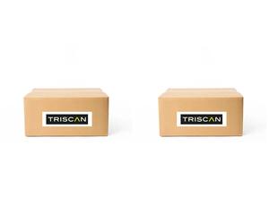 2 x Boccola cilindro TRISCAN per HYUNDAI i20 I