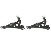 2 x Braccio oscillante FAG per CITROËN, FIAT, PEUGEOT BOXER, DUCATO, JUMPER I
