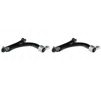 2 x Braccio oscillante NTY per FORD, MAZDA 2 I, FIESTA V, FUSION