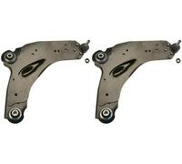 2 x Braccio oscillante TRW per NISSAN, OPEL, RENAULT PRIMASTAR, TRAFIC II, A