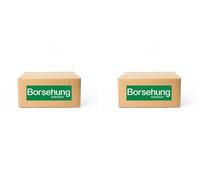 2 x Cuscinetto a rulli ammortizzatore Borsehung per AUDI, SEAT, SKODA, VW A3