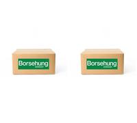 2 x Cuscinetto mozzo ruota Borsehung per AUDI A4 B8, A5 B8, A5 I, A6 C7, A7