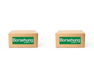 2 x Cuscinetto mozzo ruota Borsehung per AUDI A4 B8, A5 B8, A5 I, A6 C7, A7